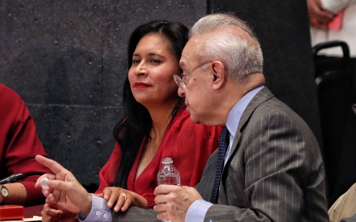 Ana Lilia Rivera Rivera, senadora de Morena. Fuente: Cortesía