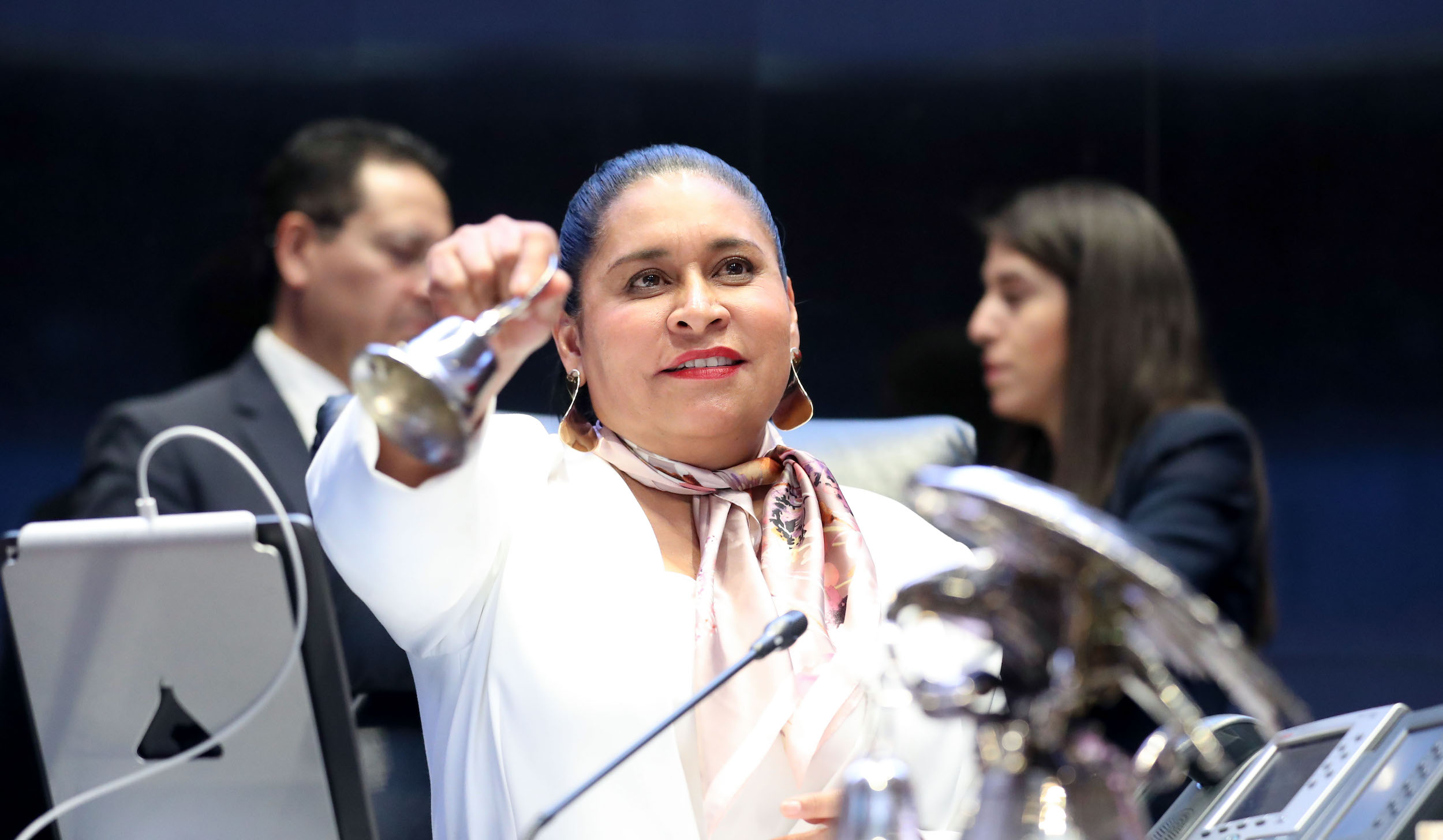 La senadora morenista Ana Lilia Rivera. Fuente: Cortesía