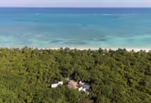 4T frena proyecto de CEMEX en Tulum: no cuenta con autorización para operar