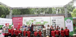 Foto: Develación del billete del sorteo superior con motivo del 35º cumpleaños del panda gigante Xin Xin. El Panda es un animal endémico de China y símbolo de la fraternidad entre el país anfitrión y la nación asiática. México ha conservado a Xin Xin por más tiempo del promedio de un panda normal.