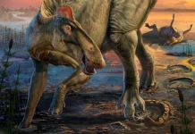 Momias de dinosaurio arrojan que algunos tenían pezuñas en los pies