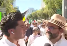 ¿Generación Z? Emilio Álvarez Icaza, de la Marea Rosa, asiste a la marcha del 15N