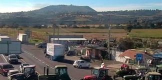 Foto: X (El Mitotero @elmitoteromx)