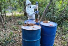 Desactivaron en Sinaloa 10 áreas de producción de metanfetamina, aseguran 21,230 lts de químicos con afectación de 428 mdp