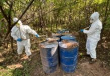 Operativo en Sinaloa desactiva ocho laboratorios con más de 20 mil litros de químicos usados para producir drogas sintéticas