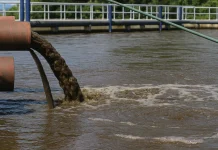 Existe una batería peligrosa para los humanos: Esta presente en perros y agua residuales