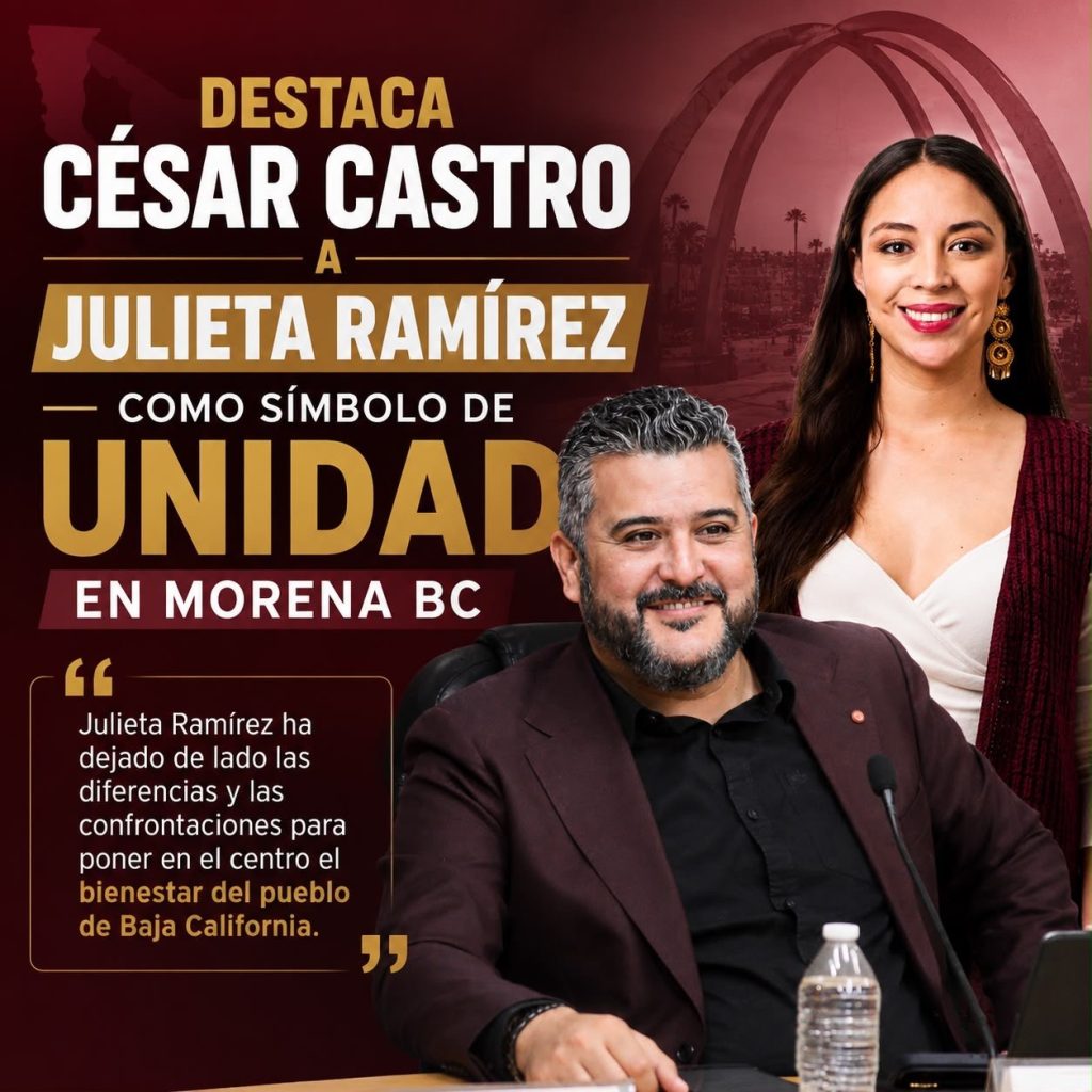 César Castro Ponce, presidente del Consejo Estatal de Morena en BC.