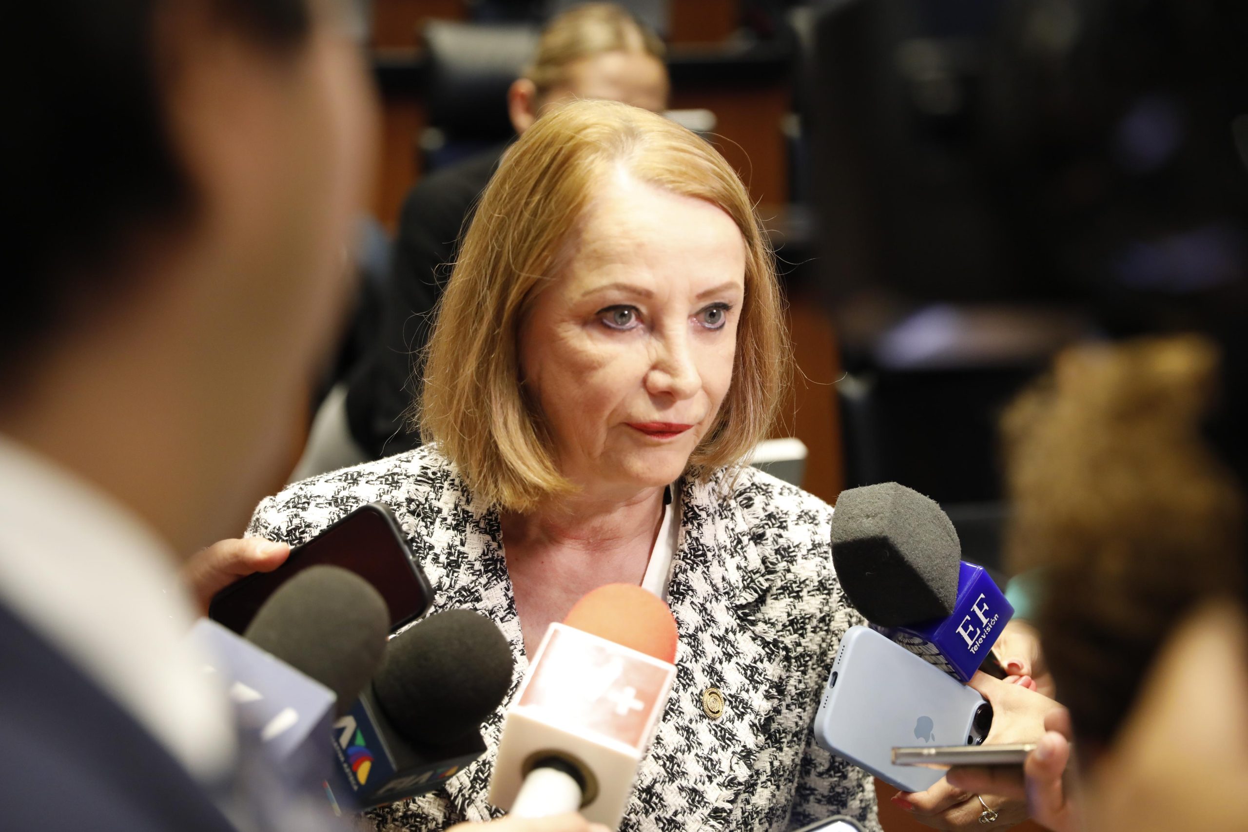 Laura Itzel Castillo, senadora de Morena. Foto Senado de la República
