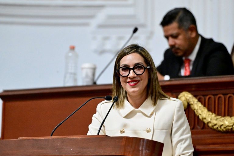 Jannete Guerrero Maya, diputada del Partido del Trabajo (PT). Foto Cortesía